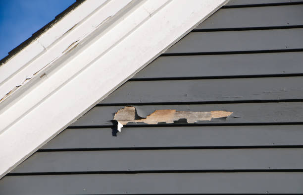 Best Steel Siding Installation  in Livermore, CA