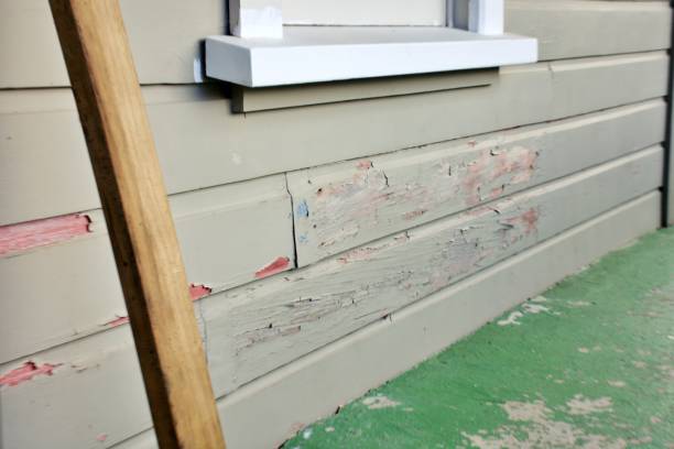 Best Steel Siding Installation  in Livermore, CA
